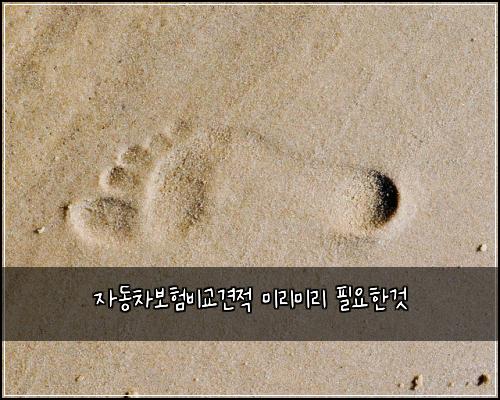 자동차보험비교견적 미리미리 필요한것