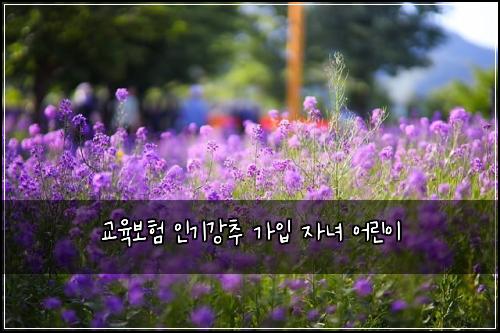 교육보험 인기강추  가입 자녀 어린이