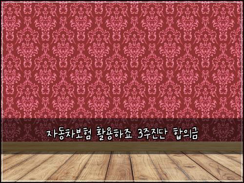 자동차보험 활용하죠  3주진단 합의금