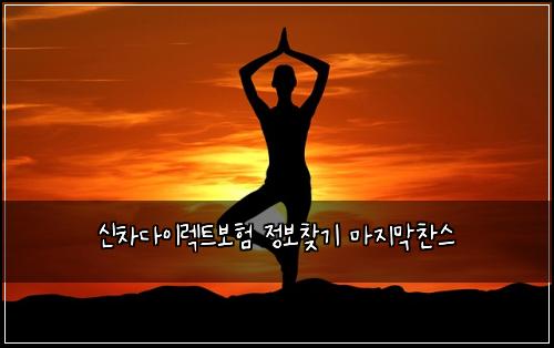신차다이렉트보험 정보찾기  마지막찬스