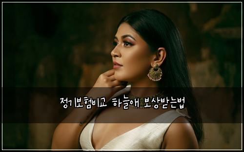 정기보험비교 하늘애 보상받는법