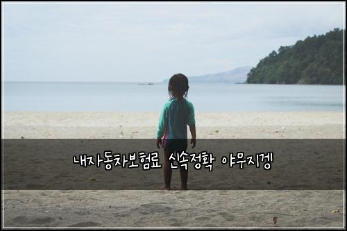 내자동차보험료 신속정확 야무지겡