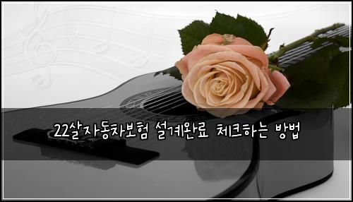 22살자동차보험 설계완료  체크하는 방법