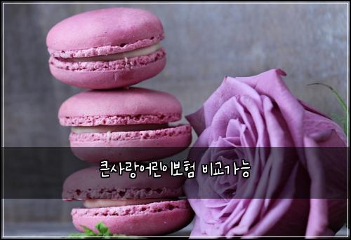 큰사랑어린이보험 비교가능 