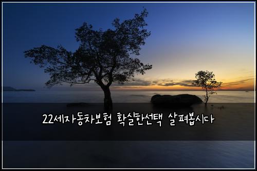 22세자동차보험 확실한선택  살펴봅시다