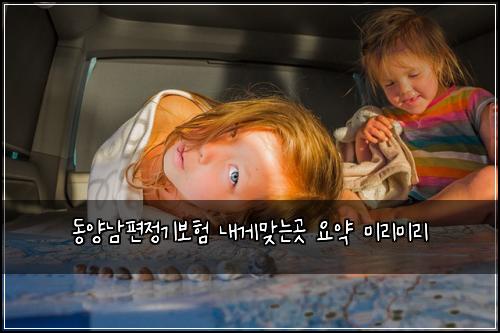 동양남편정기보험 내게맞는곳  요약 미리미리
