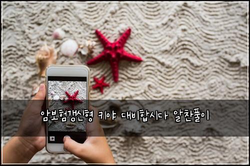 암보험갱신형 키야 대비합시다 알찬풀이