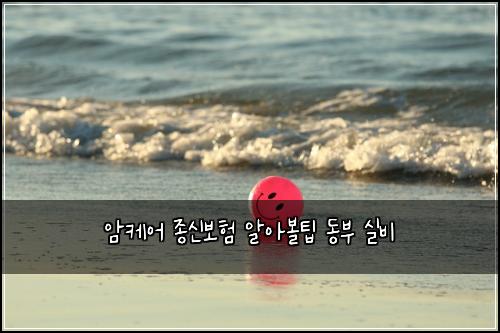암케어 종신보험 알아볼팁  동부 실비