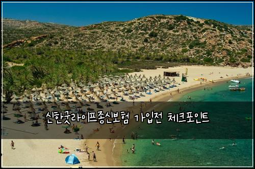 신한굿라이프종신보험 가입전 체크포인트