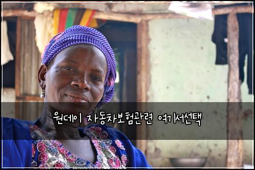 원데이 자동차보험관련 여기서선택
