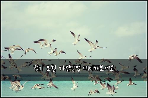 ์ ๊ธฐ ๋ณดํ ๊ฐ์
๋ฐฉ๋ฒ ๋๋นํด๋ณด์ธ์
