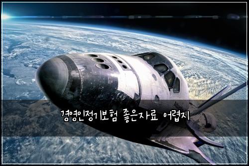 경영인정기보험 좋은자료  어렵지