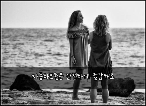 자동차보험은 안전하게 절감해요