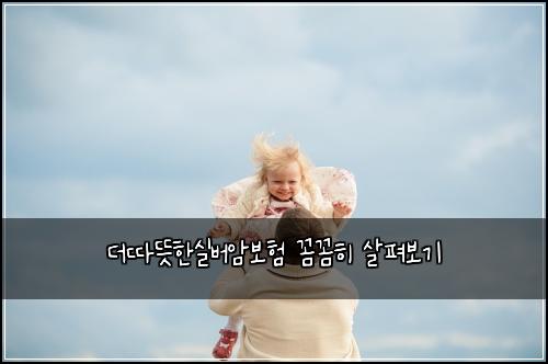 더따뜻한실버암보험 꼼꼼히 살펴보기