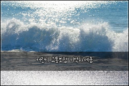 어린이 교통보험 기억하세욤 