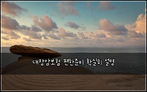 대장암보험 편한준비  확실히 설명