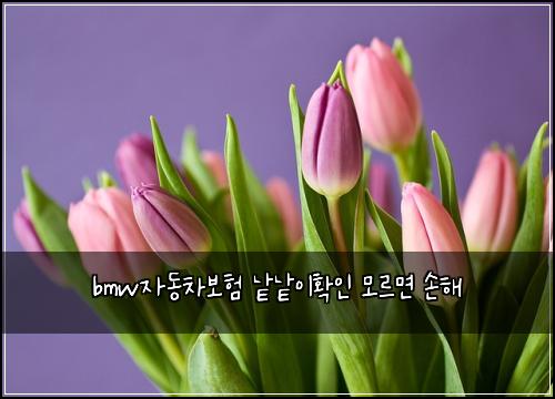 bmw자동차보험 낱낱이확인  모르면 손해