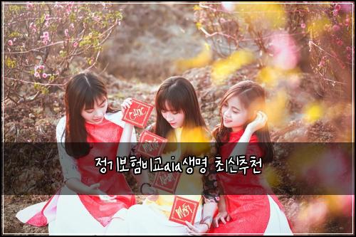 정기보험비교aia생명 최신추천