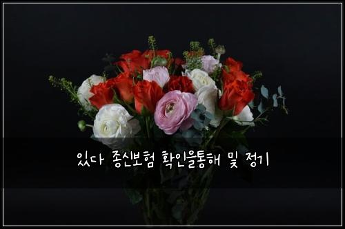 있다 종신보험 확인을통해  및 정기