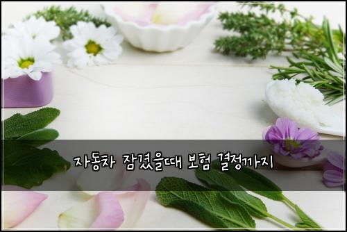 자동차 잠겼을때 보험 결정까지 