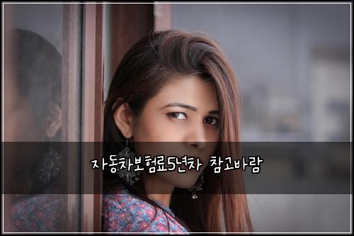 자동차보험료5년차 참고바람