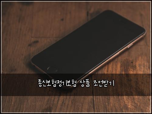 종신보험정기보험 상품 조언받기