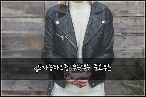 q5์๋์ฐจ๋ณดํ ๋ฟ๋ฏ๋ฟ๋ฏ ์ค์๋ถ๋ถ