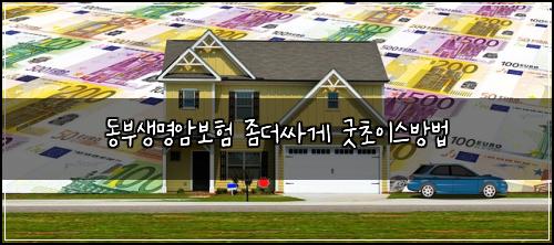 ๋๋ถ์๋ช
์๋ณดํ ์ข๋์ธ๊ฒ ๊ตฟ์ด์ด์ค๋ฐฉ๋ฒ