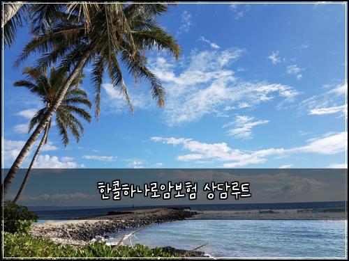한콜하나로암보험 상담루트 