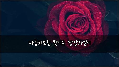 자동차보험 핫이슈  쌍방과실시