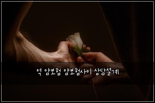 억 암보험 암보험사이 상담설계