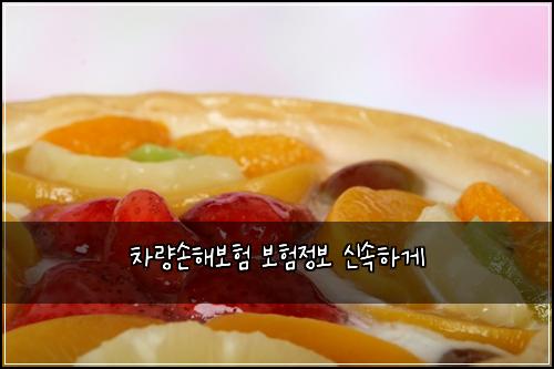 차량손해보험 보험정보  신속하게