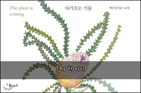 ์์ด ํ ๋ง๋