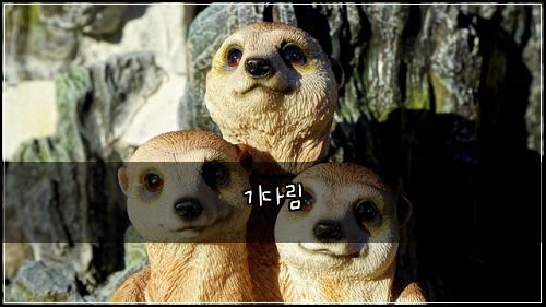 기다림