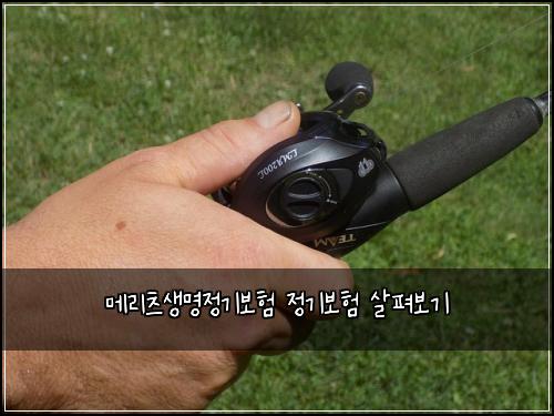 메리츠생명정기보험 정기보험 살펴보기