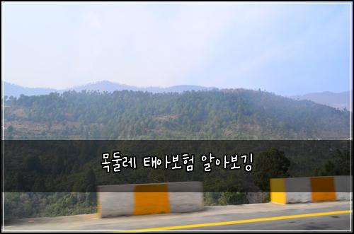 목둘레 태아보험 알아보깅 