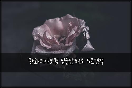 한화태아보험 믿을만해요  5초견적