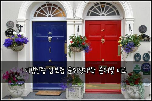 비갱신형 암보험 순위정리쫙  순위별 비교
