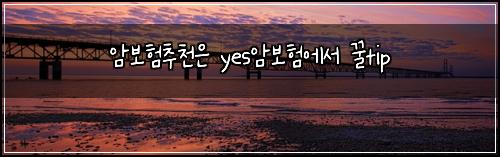 암보험추천은 yes암보험에서 꿀tip