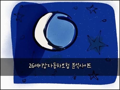 26세이상자동차보험 분석사이트 
