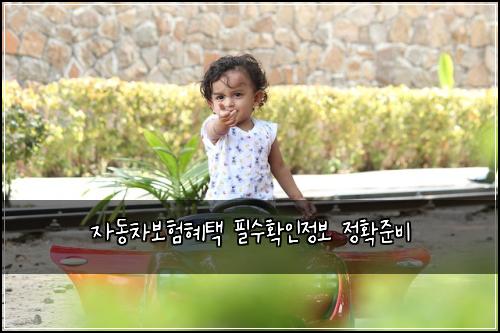 자동차보험혜택 필수확인정보 정확준비