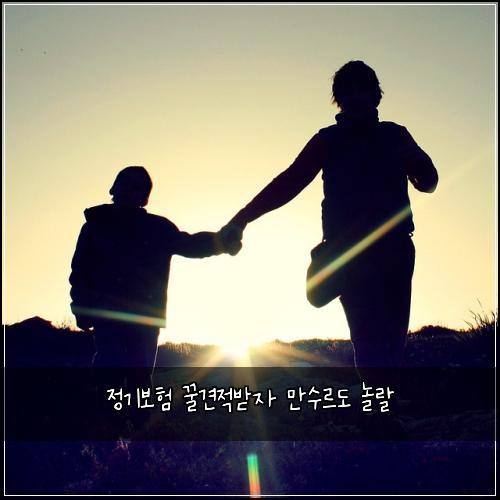정기보험 꿀견적받자  만수르도 놀랄