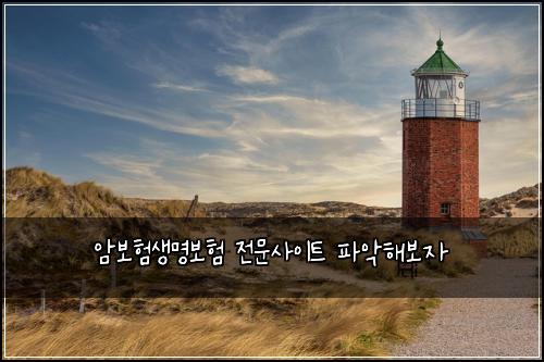 암보험생명보험 전문사이트 파악해보자
