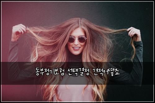 동부정기보험 선택결정  견적어떻죠