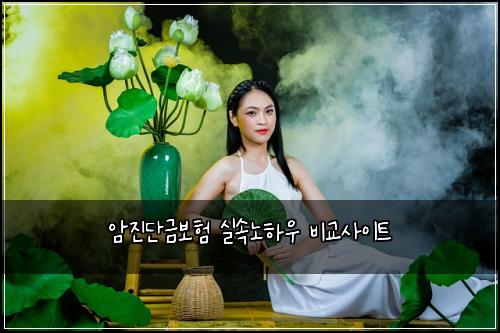 암진단금보험 실속노하우  비교사이트