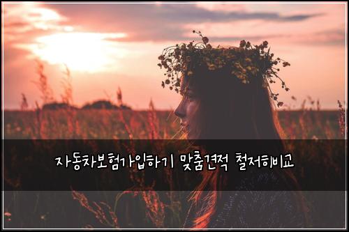자동차보험가입하기 맞춤견적 철저히비교
