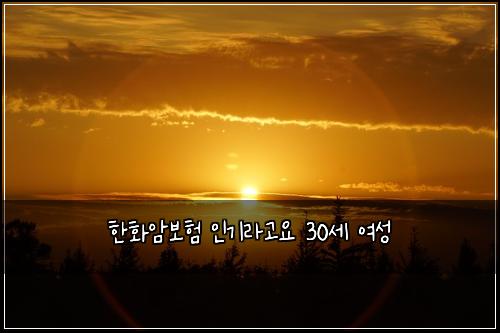 한화암보험 인기라고요  30세 여성