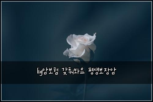 lig암보험 갖춰봐요  평생보장암