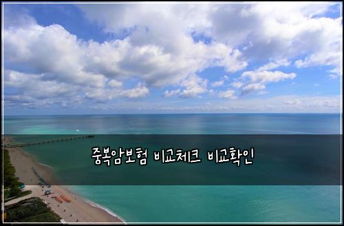 중복암보험 비교체크  비교확인