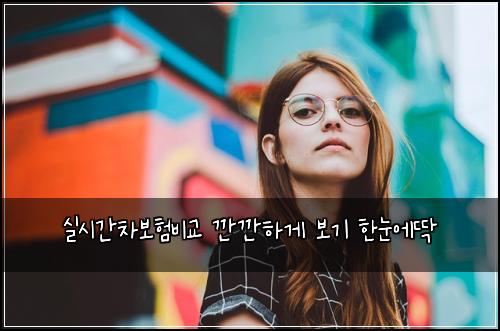실시간차보험비교 깐깐하게 보기 한눈에딱